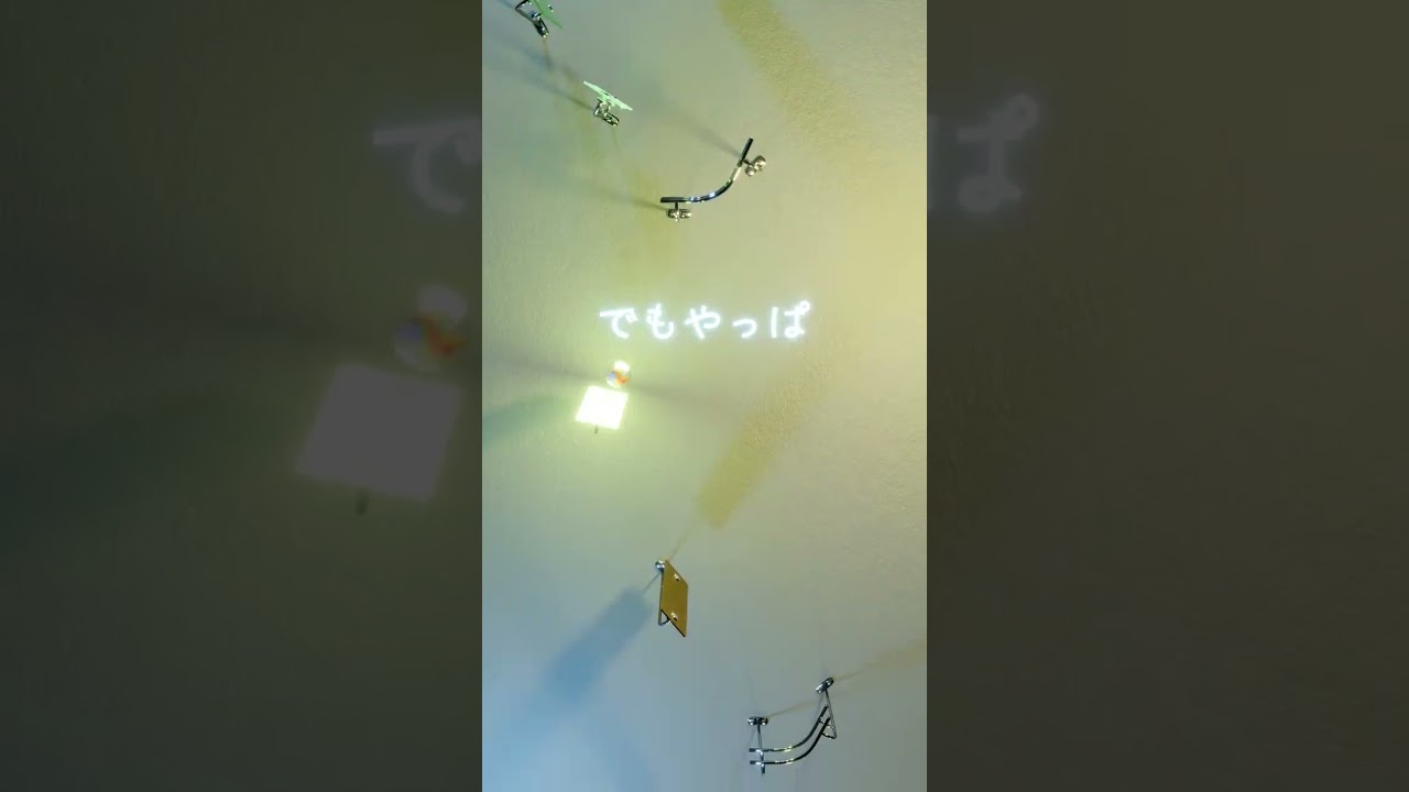 くつずれ/ハチワレ