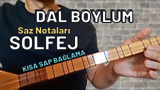 Dal Boylum Solfej Saz Notaları Ürkü
