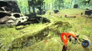 The Forest with Brax