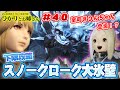 【FF14】室町きりんちゃん登場？！「光のお父さん」原作者マイディーと下限攻略！「スノークローク大氷壁」FINALFANTASY XIV【ひかりとお姉さん 第40話】