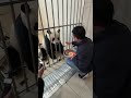 臥龍の非公開エリアで撮影されたリーリーの最新動画