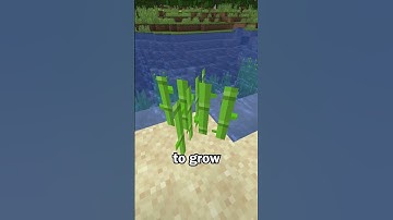 Bone Meal works on Sugar Cane in Minecraft Bedrock Edition