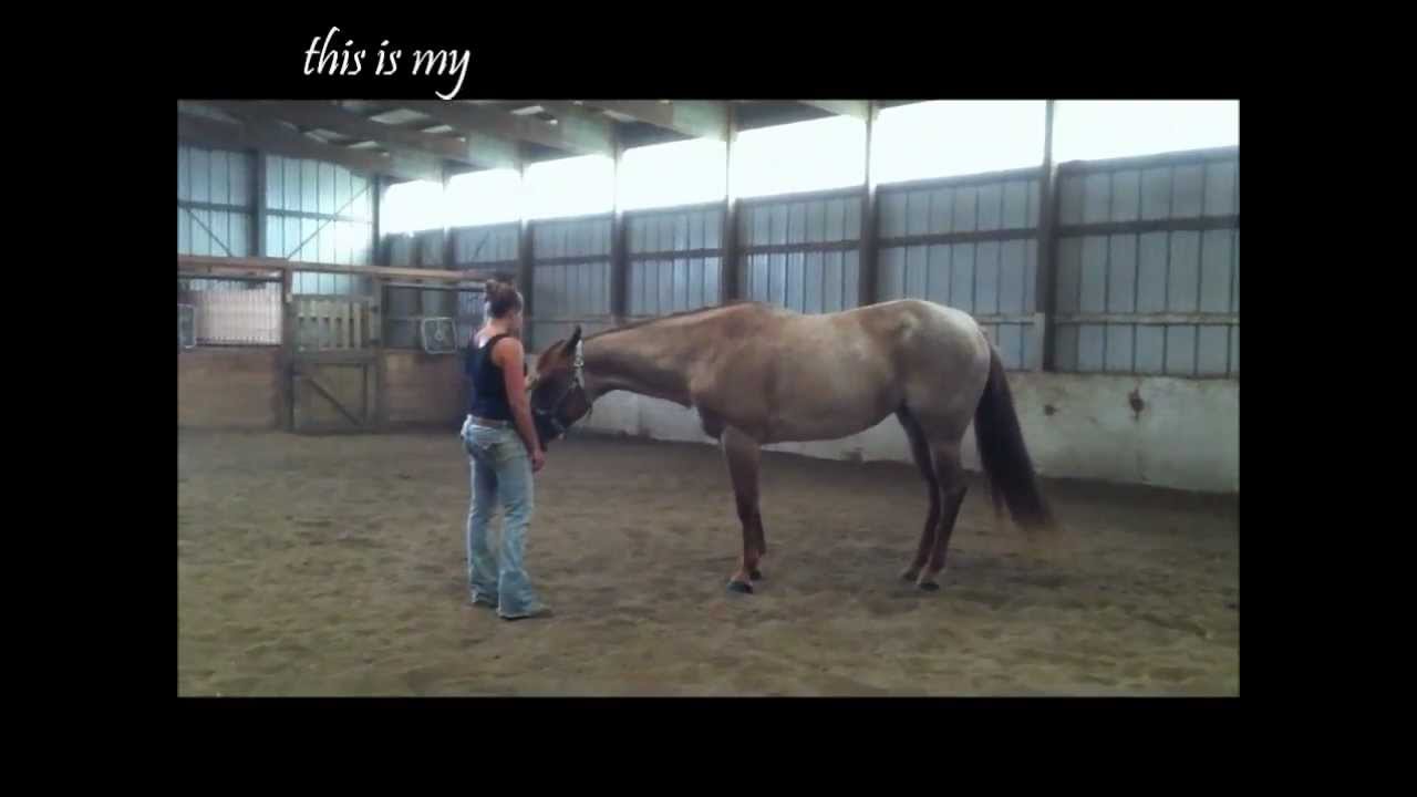 Your Plan Dustin Lynch (with lyrics) YouTube