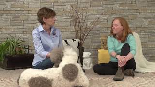 How an email led to becoming an Animal Bowen Therapy Practitioner