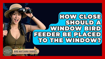 How Close Should A Window Bird Feeder Be Placed To The Window? - Bird Watching Diaries