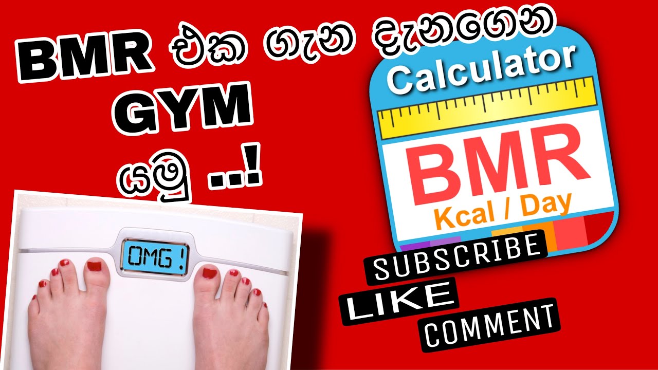 BMR එක ගැන දැනගෙන Gym යමු. How to calculate your BMR සිංහල භාෂාව