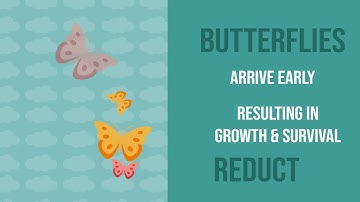 Project 4: Data Visualization/Animated Infographic