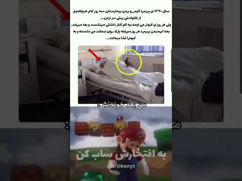 کامنتارو چک کن کالاف موبایل  کالاف  موبایلگیمر امیناینفرنو  