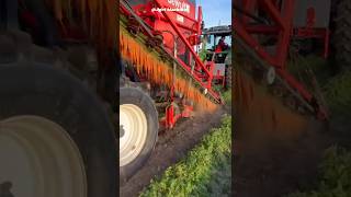 1-Row Trailed Carrot Harvester Dewulf Gbc || Made By Dewulf Belgium || #Shorts