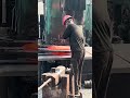 Inside the forging factory Forging Masters Shape Red Hot Metal #industrial #forging #manufacturing
