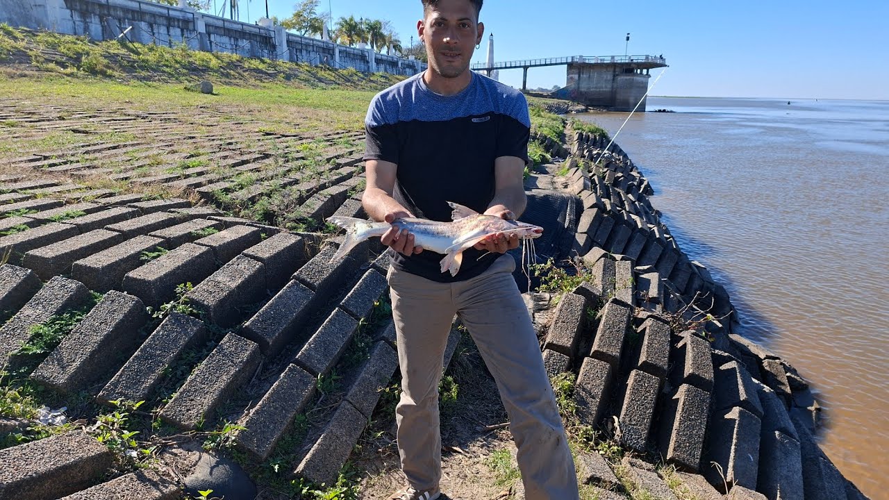 Pesca variada en la costa nera de santa fe!! Pati y amarillos! Caña mystix de 3m y reel surfish 