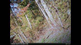 Homes for Sale - Carlton Avenue, Mastic, NY