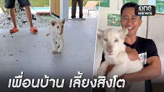 ผวา เพื่อนบ้านชาวจีนเลี้ยง "สิงโตขาว" ในบ้าน | ข่าวเช้าช่องวัน | สำนักข่าววันนิวส์