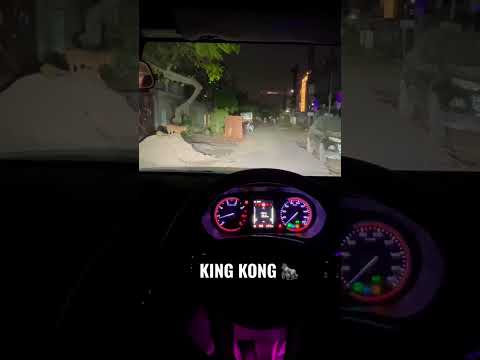 KING KONG LED-HEADLIGHT