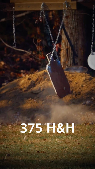 5.56 vs 7.5x55 vs 375 H&H