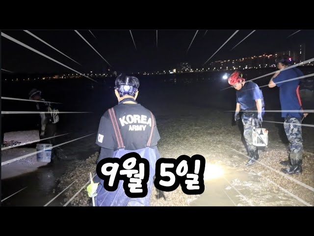 9월 5일 물높이 170 야간 해루질 이곳에 이런게 나온다니 대박이네!