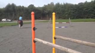 Flatwork schooling Rhi for first time