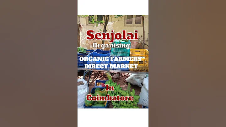 Organic Farmer's Direct Market | Coimbatore | Senjolai | Every month 2-nd Sunday