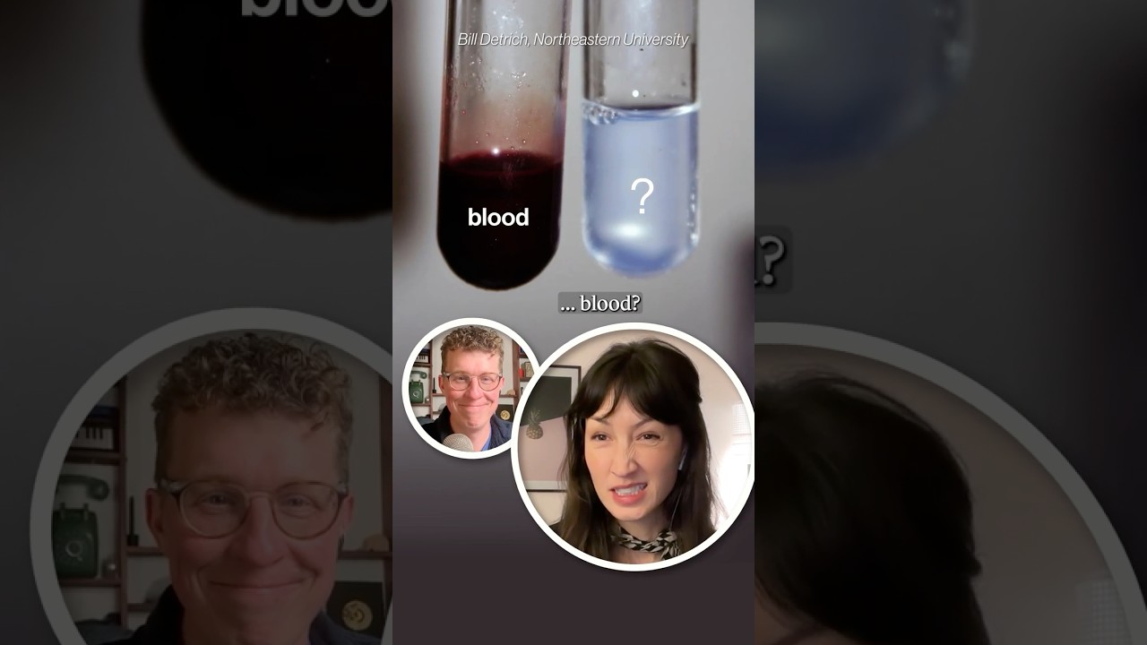 Существо с совершенно чистой кровью