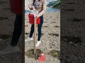 Farm work made easy! DIY fertilizing gadget for double efficiency