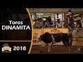 Puros TOROS DE REPARO - Campeonato Millonario THV 2018