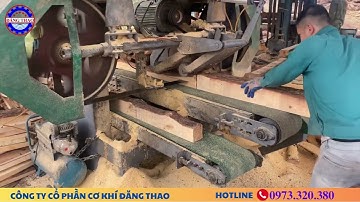 Xẻ gỗ keo, thông nhanh chóng với máy xẻ bìa 2 hoặc 3 băng tải | Cơ khí Đăng Thao