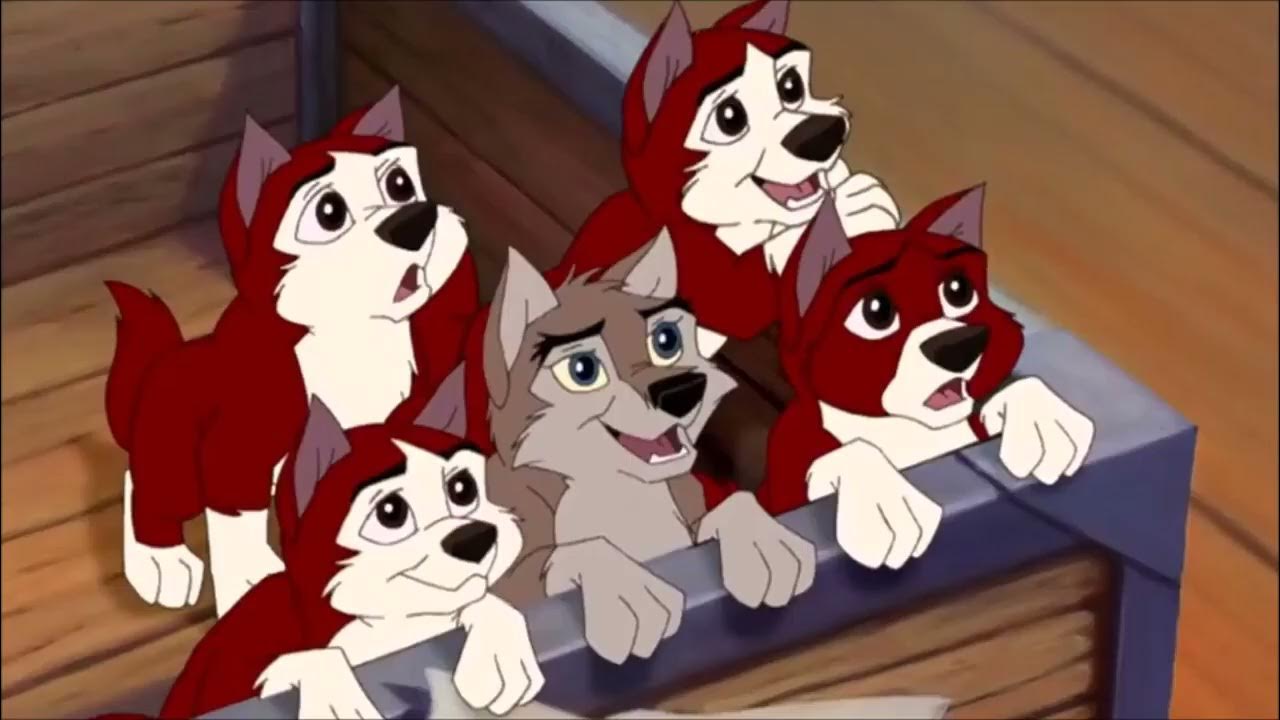 балто чучело в музее