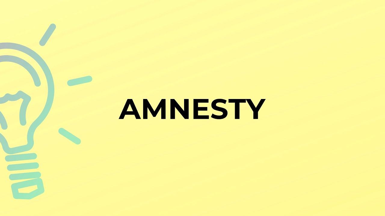 What is the meaning of the word AMNESTY? YouTube