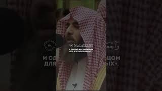 Мухаммад Аль Люхайдан Сура аль-ФурканАяты 74-75 #коран #рекомендации