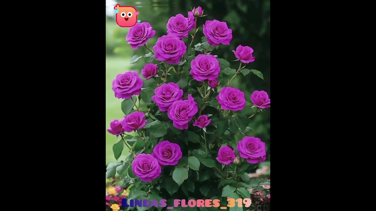 27 de febrero de 2026