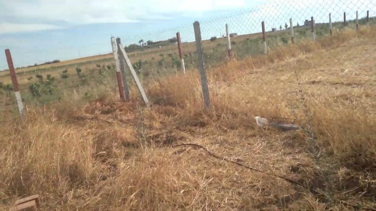 حوار من القلب الى القلب في أرض الأجداد ،تم تغيير إسم القناة ..