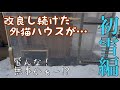 雪の日に外で過ごす白猫ファミリーの様子をご報告致します。