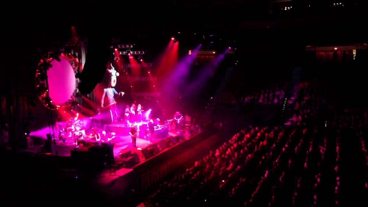 Australian Pink Floyd in Halifax Another Brick in the Wall YouTube