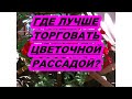 ГДЕ ЛУЧШЕ ТОРГОВАТЬ ЦВЕТОЧНОЙ РАССАДОЙ?