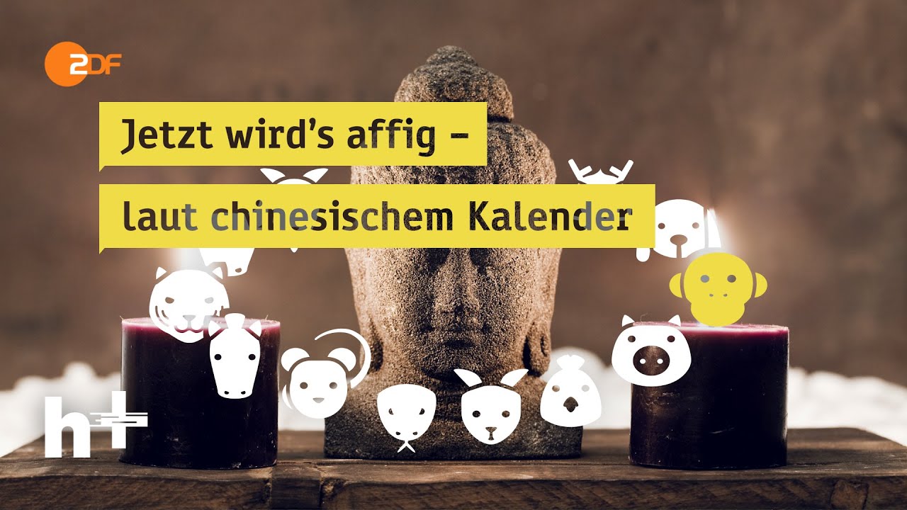 Was hat es mit dem Jahr des Affen auf sich? - heuteplus | ZDF rechtliche hinweise