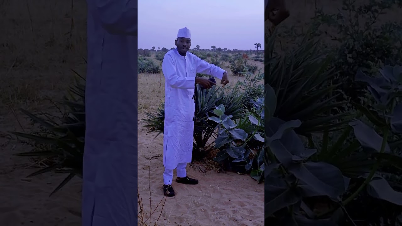 Sirin rashin lafiya Sayyadi imam tv sha yan zu magani yanzu 09067798687