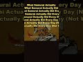 What Samurai Actually Did Every Day (Not What You Think) #Shorts