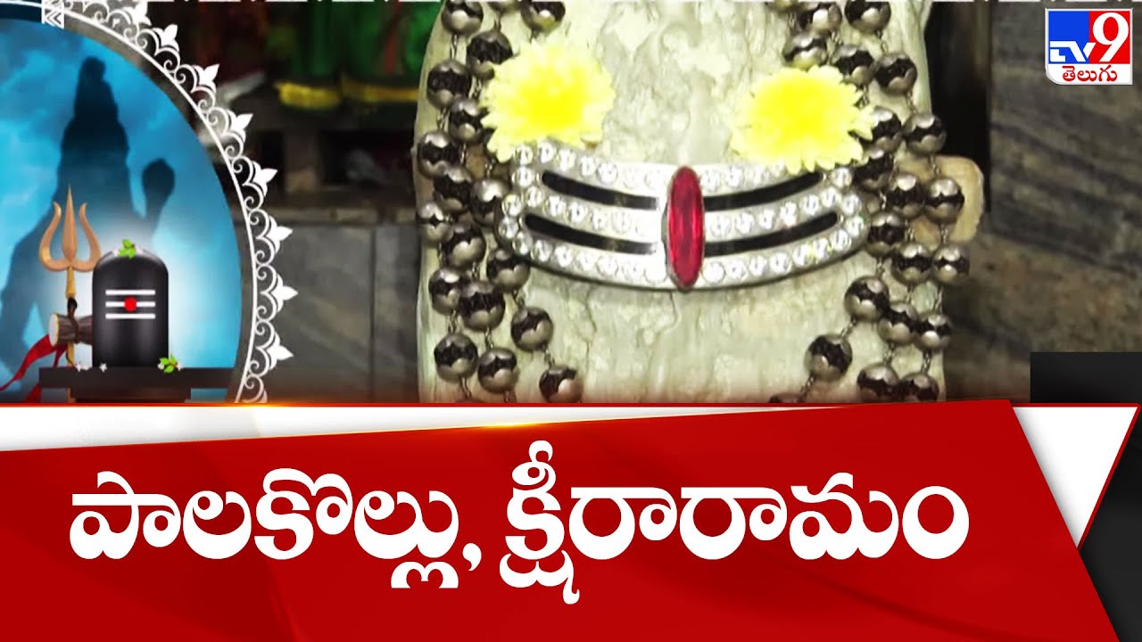 Pancharama Kshetras : పంచారామాలు ||  పాలకొల్లు,  క్షీరారామం | Palakollu Ksheeraramam Temple - TV9