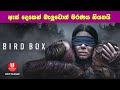        movie explanation in sinhala  sinhala talkies