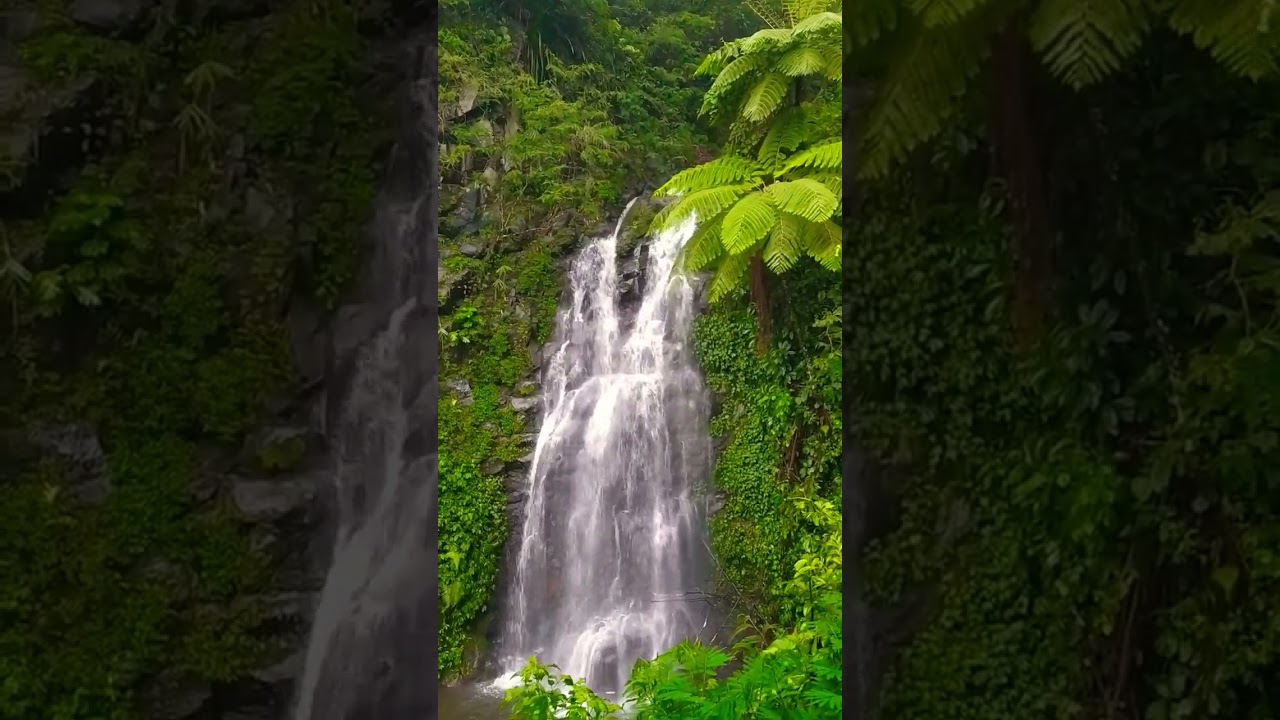 Kepingan Surga di Mojokerto