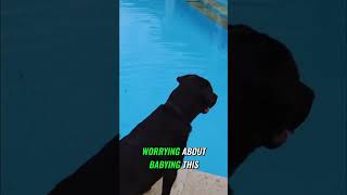 JBL Flip 7: Pool Drop... Still Playing Loud!
