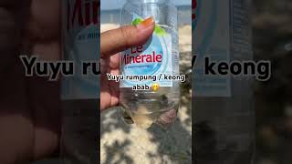 Buat yang gak tau , yuyu rumpung seperti ini guysss...