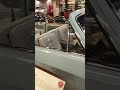 Чайка ГАЗ 14-05 для парадных мероприятий  #сделановссср