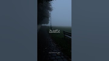 سورة الأحزاب الشيخ بدر التركي #قرآن #اكسبلور #quran #دويتو #قران #لايك #اسلاميات #راحة_نفسية