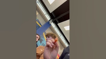 Day 3,carrot) of throwing random things at gabe until he catches it