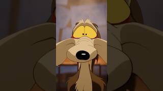 Coyote vs Acme Quick Thoughts Spoiler Free