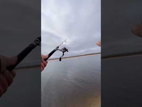 Spin fishing🎣 / Съездил на рыбалку. Спиннинг🎣 - YouTube
