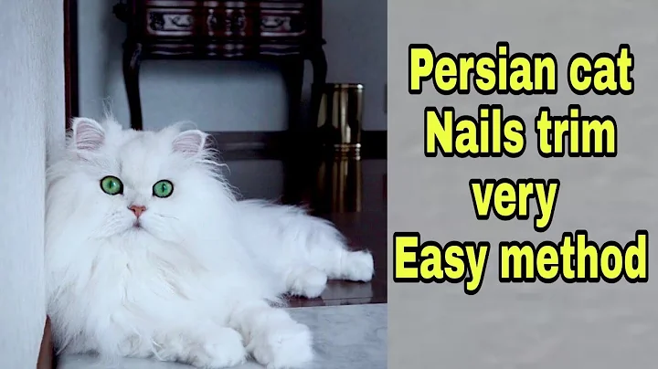 Watch the video about How to trim Persian cat nails | safely and easy cut Persian cat Nails