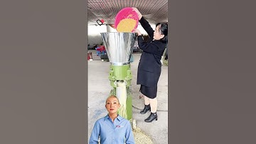 #fcnfm How FCNFM Type 400 Delivers Consistent 1500–2000kg/h Output for Feed Producers