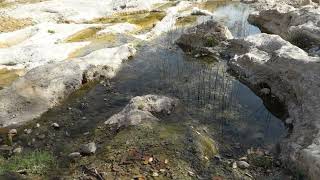 Ongongo spring